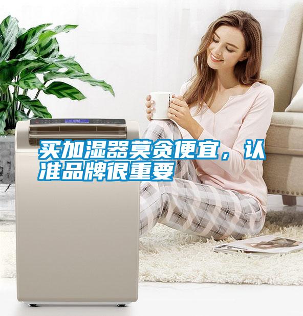 買加濕器莫貪便宜，認準品牌很重要