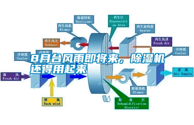 8月臺風雨即將來，除濕機還得用起來