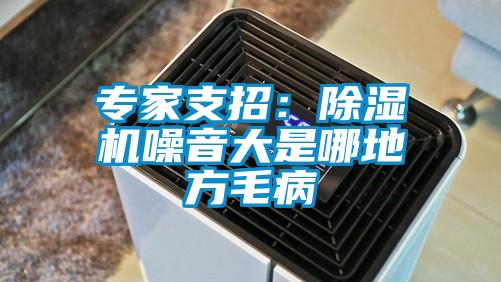 專(zhuān)家支招：除濕機(jī)噪音大是哪地方毛病