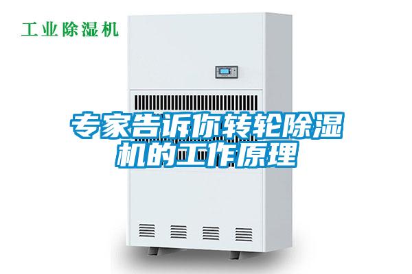 專(zhuān)家告訴你轉(zhuǎn)輪除濕機(jī)的工作原理