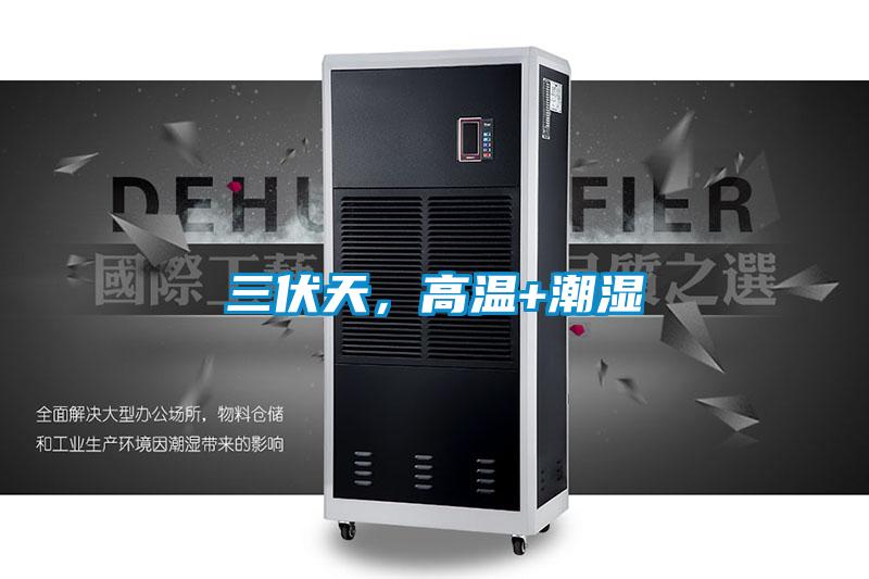三伏天，高溫+潮濕