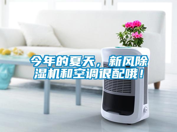 今年的夏天，新風除濕機和空調(diào)很配哦！