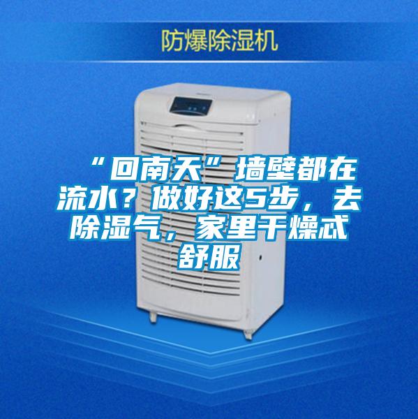 “回南天”墻壁都在流水？做好這5步，去除濕氣，家里干燥忒舒服