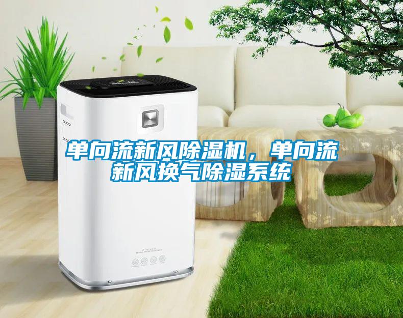 單向流新風除濕機，單向流新風換氣除濕系統