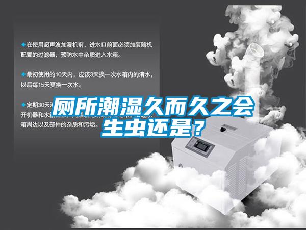 廁所潮濕久而久之會生蟲還是？