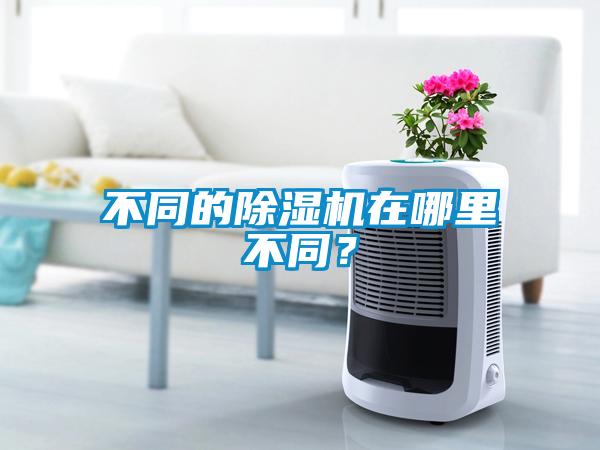 不同的除濕機在哪里不同？