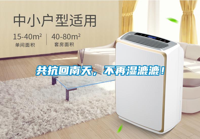 共抗回南天，不再濕漉漉！