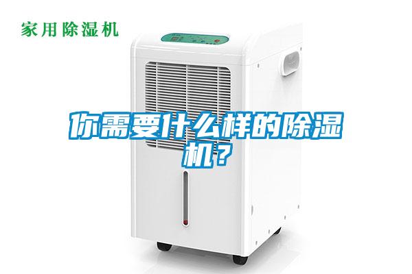 你需要什么樣的除濕機？