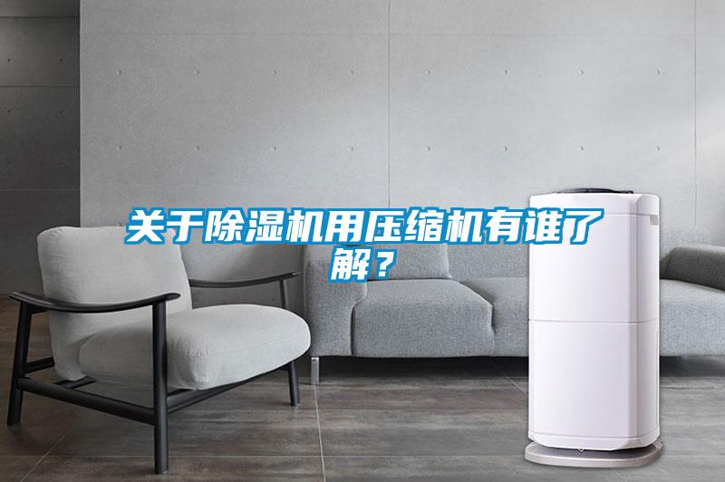 關(guān)于除濕機(jī)用壓縮機(jī)有誰了解？