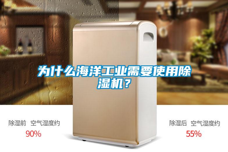 為什么海洋工業需要使用除濕機？
