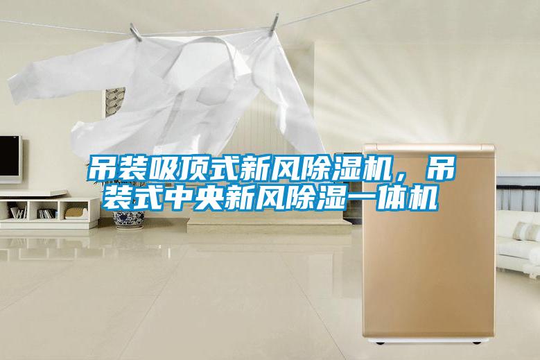 吊裝吸頂式新風(fēng)除濕機(jī)，吊裝式中央新風(fēng)除濕一體機(jī)