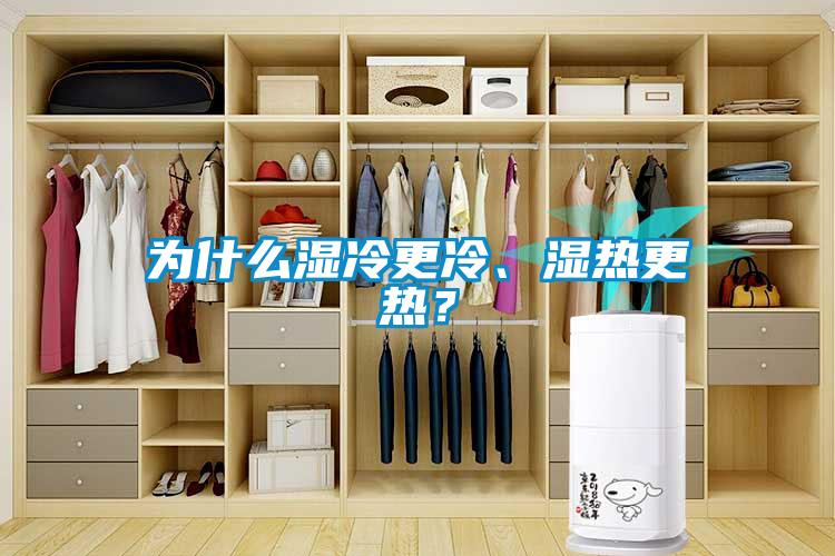 為什么濕冷更冷、濕熱更熱?