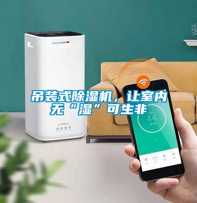 吊裝式除濕機，讓室內無“濕”可生非