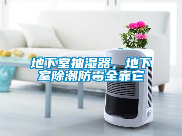 地下室抽濕器，地下室除潮防霉全靠它