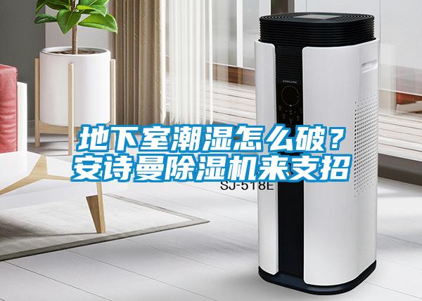 地下室潮濕怎么破？安詩曼除濕機來支招