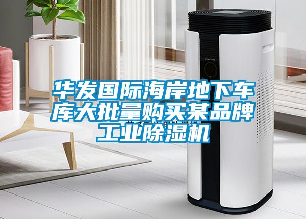 華發(fā)國(guó)際海岸地下車(chē)庫(kù)大批量購(gòu)買(mǎi)某品牌工業(yè)除濕機(jī)