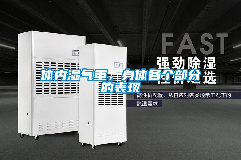體內濕氣重，身體各個部分的表現