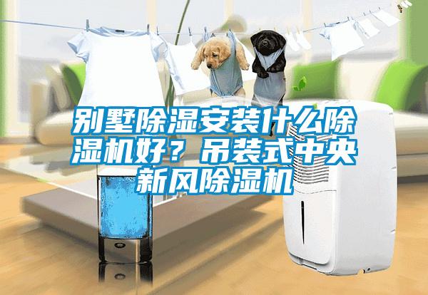 別墅除濕安裝什么除濕機好？吊裝式中央新風(fēng)除濕機