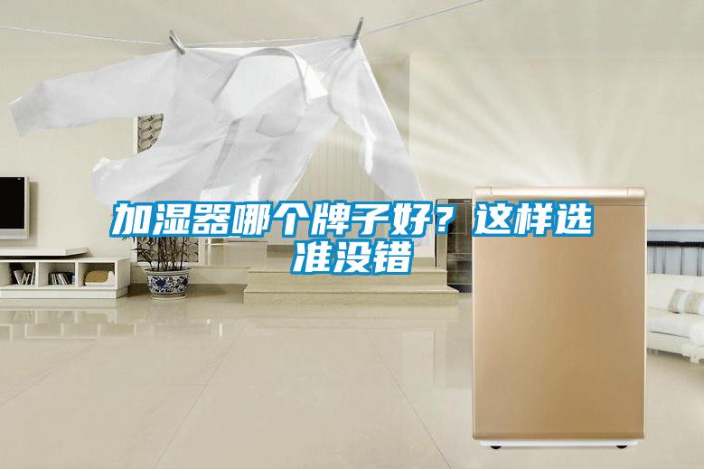 加濕器哪個牌子好？這樣選準沒錯