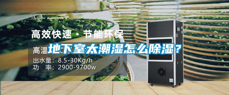 地下室太潮濕怎么除濕？