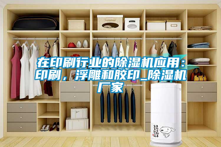 在印刷行業(yè)的除濕機(jī)應(yīng)用：印刷，浮雕和膠印_除濕機(jī)廠家
