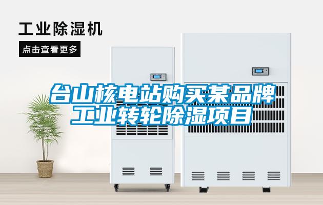 臺山核電站購買某品牌工業(yè)轉(zhuǎn)輪除濕項(xiàng)目