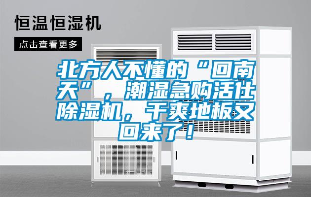 北方人不懂的“回南天”，潮濕急購(gòu)活仕除濕機(jī)，干爽地板又回來(lái)了！