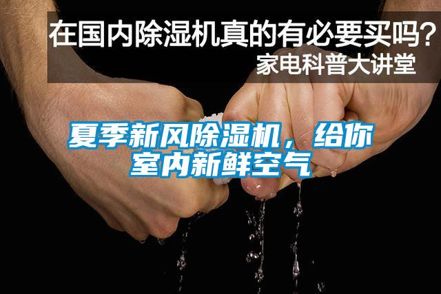夏季新風(fēng)除濕機，給你室內(nèi)新鮮空氣