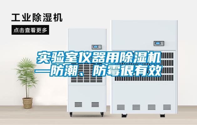 實(shí)驗(yàn)室儀器用除濕機(jī)—防潮、防霉很有效