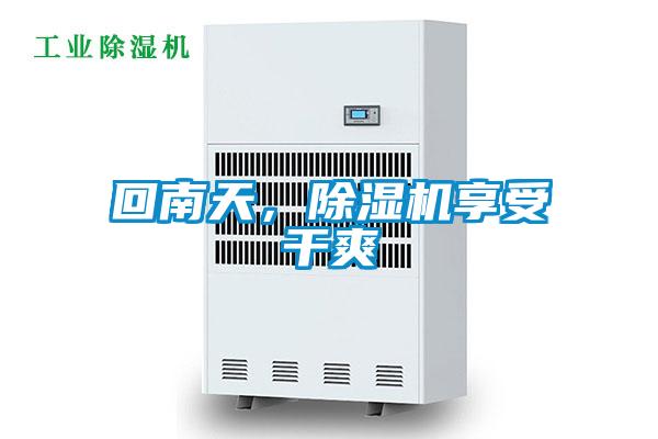 回南天，除濕機享受干爽