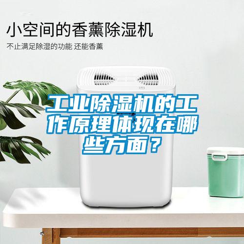 工業(yè)除濕機的工作原理體現(xiàn)在哪些方面？