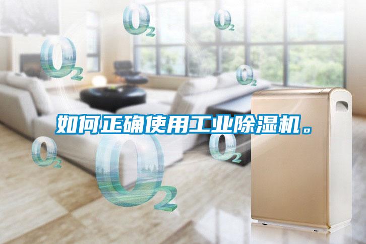 如何正確使用工業除濕機。