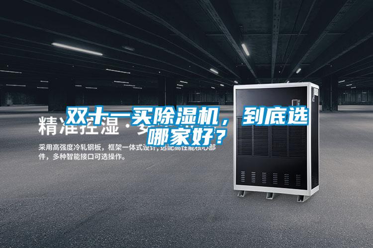 雙十一買(mǎi)除濕機(jī)，到底選哪家好？