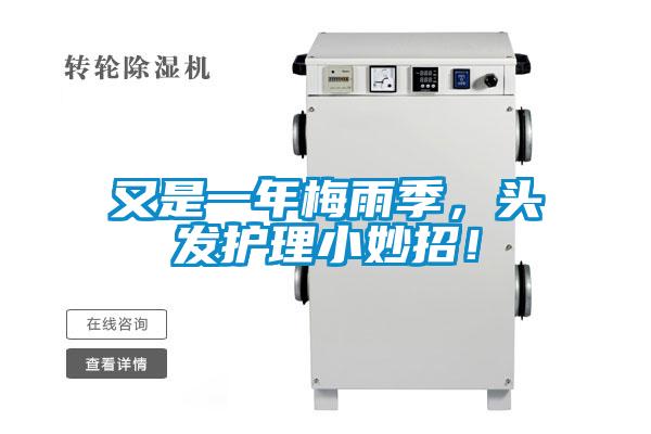 又是一年梅雨季，頭發(fā)護(hù)理小妙招！
