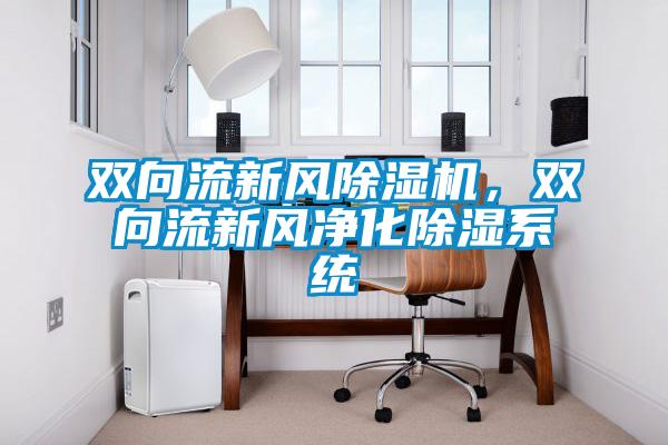 雙向流新風(fēng)除濕機，雙向流新風(fēng)凈化除濕系統(tǒng)