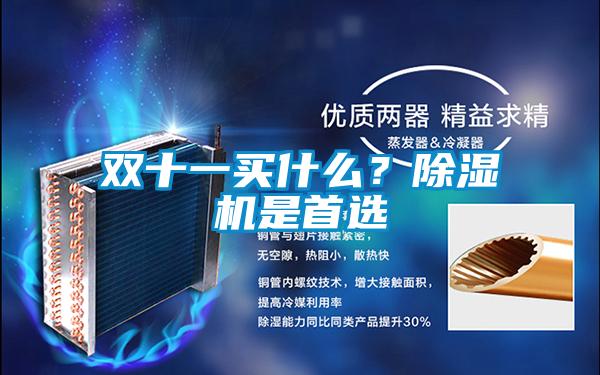 雙十一買什么？除濕機是首選
