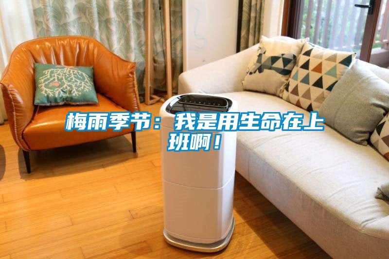 梅雨季節(jié)：我是用生命在上班??！