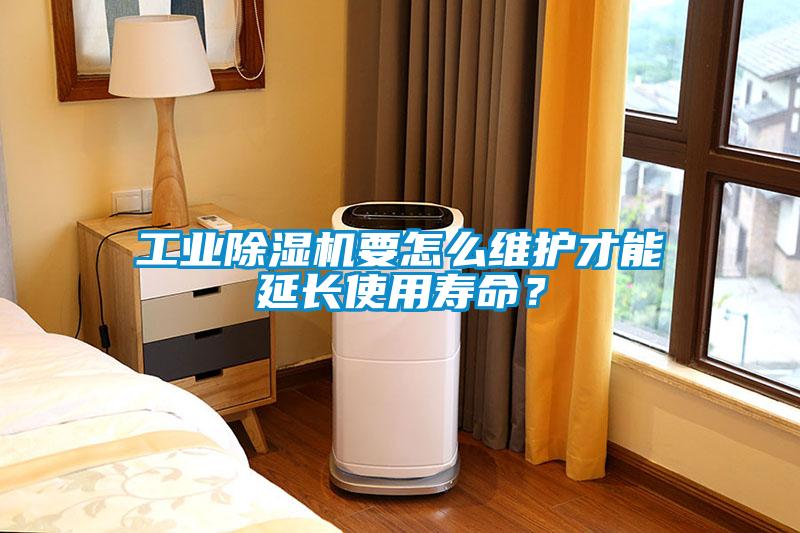 工業除濕機要怎么維護才能延長使用壽命？
