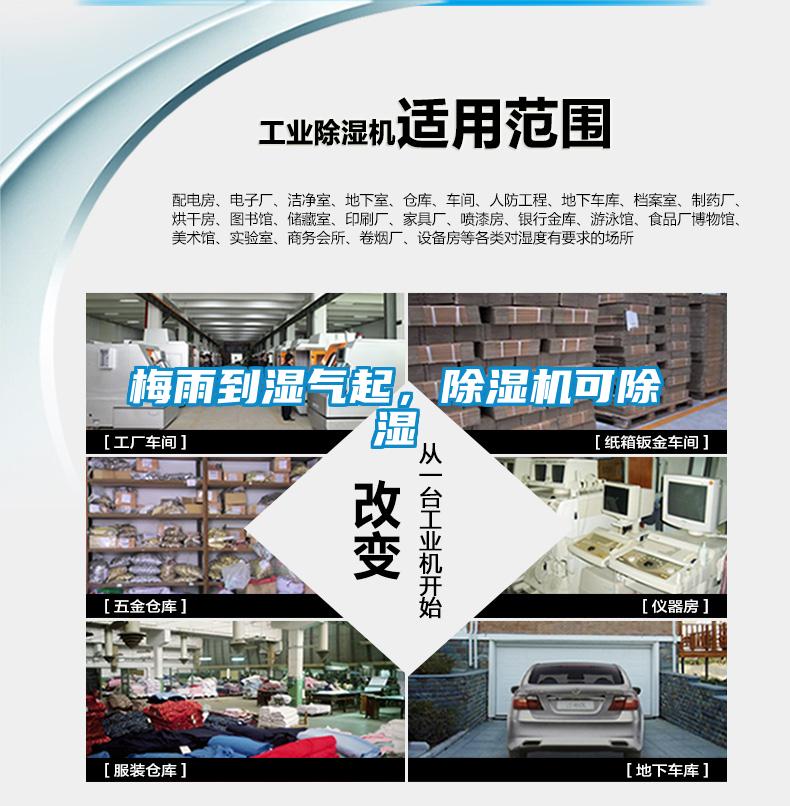 梅雨到濕氣起，除濕機(jī)可除濕