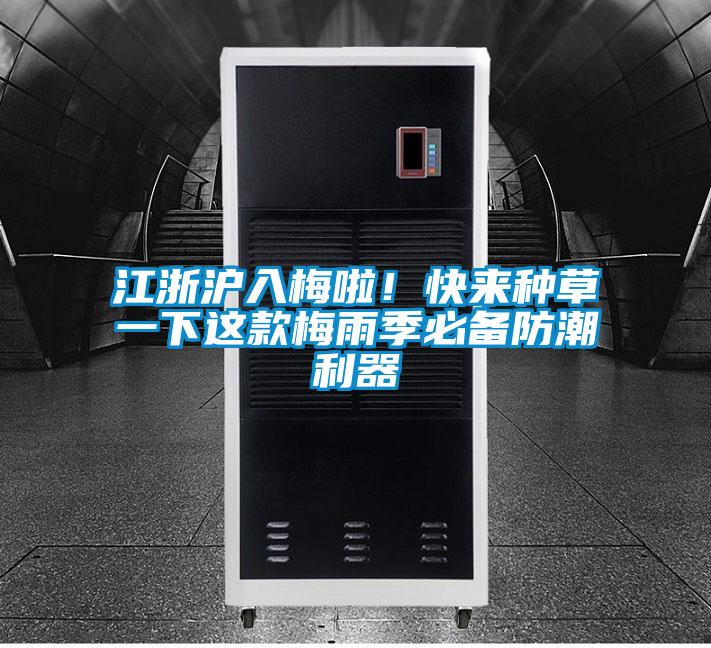 江浙滬入梅啦！快來(lái)種草一下這款梅雨季必備防潮利器
