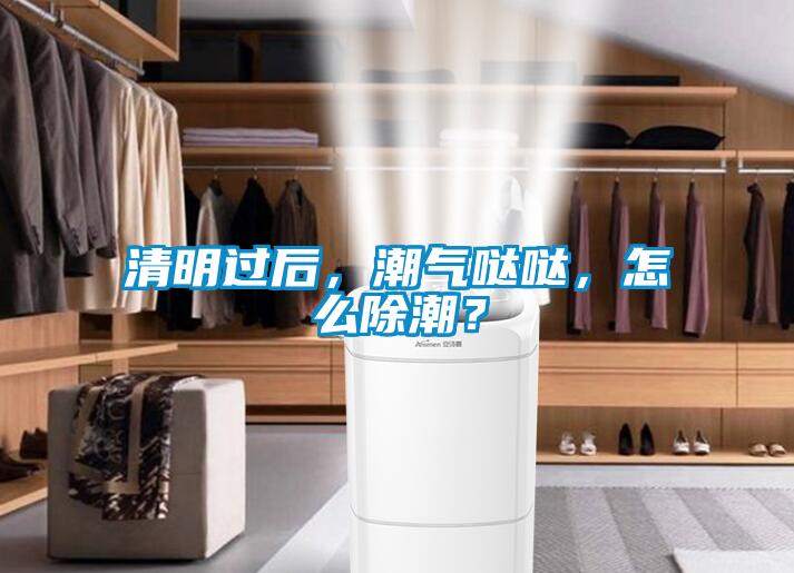 清明過后，潮氣噠噠，怎么除潮？