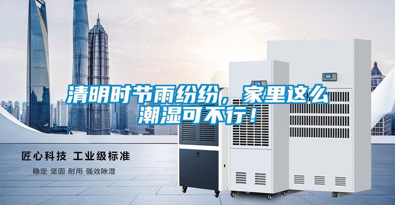 清明時節雨紛紛，家里這么潮濕可不行！