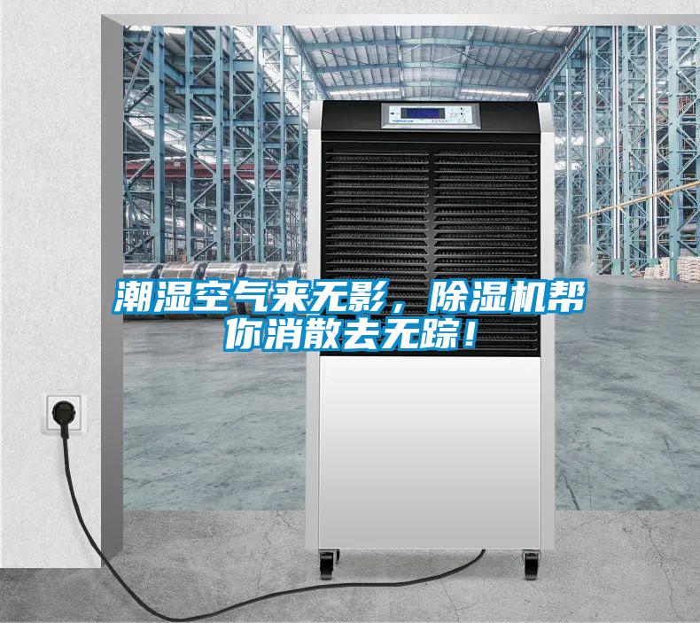 潮濕空氣來無影，除濕機幫你消散去無蹤！