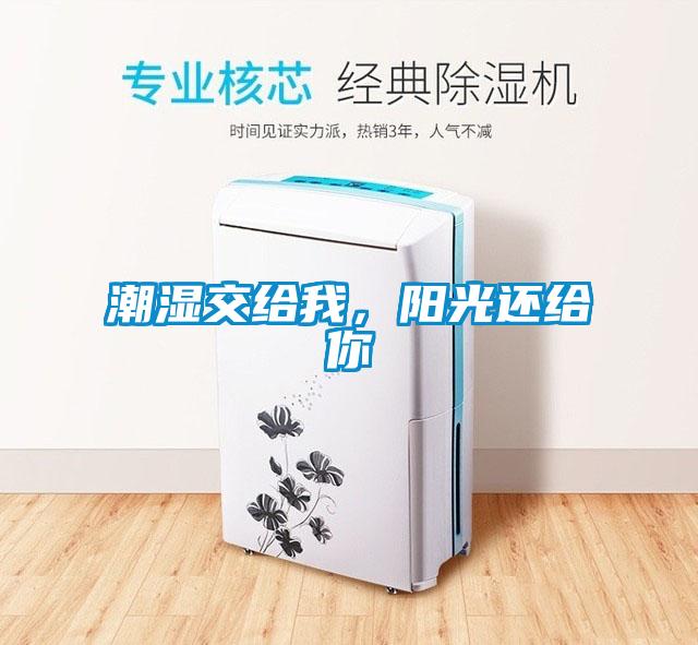 潮濕交給我，陽光還給你