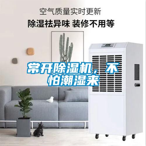 常開除濕機，不怕潮濕來
