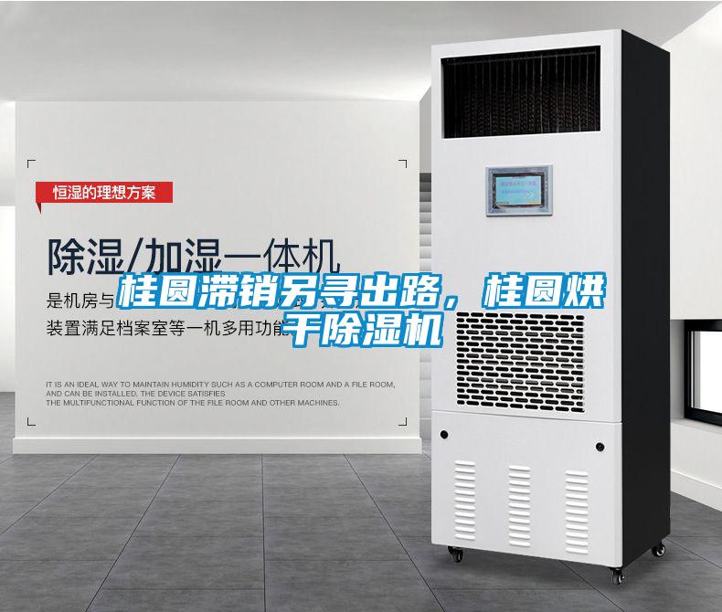 桂圓滯銷另尋出路，桂圓烘干除濕機