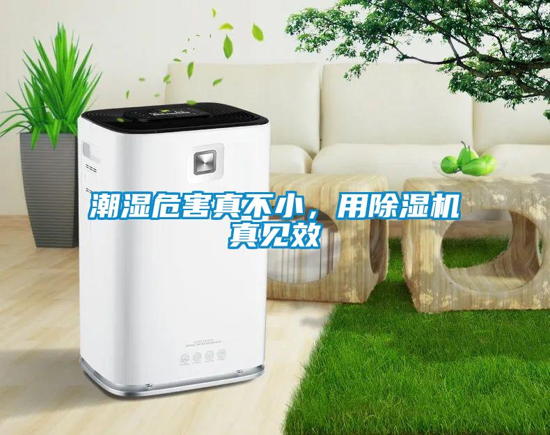 潮濕危害真不小，用除濕機真見效