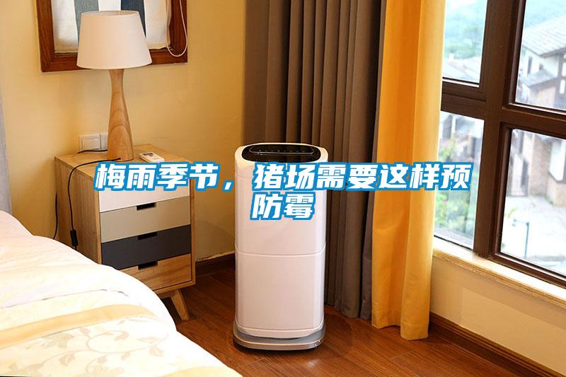 梅雨季節，豬場需要這樣預防霉