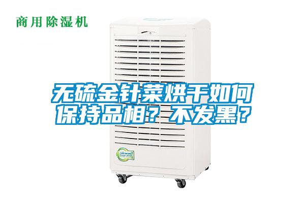 無硫金針菜烘干如何保持品相？不發(fā)黑？