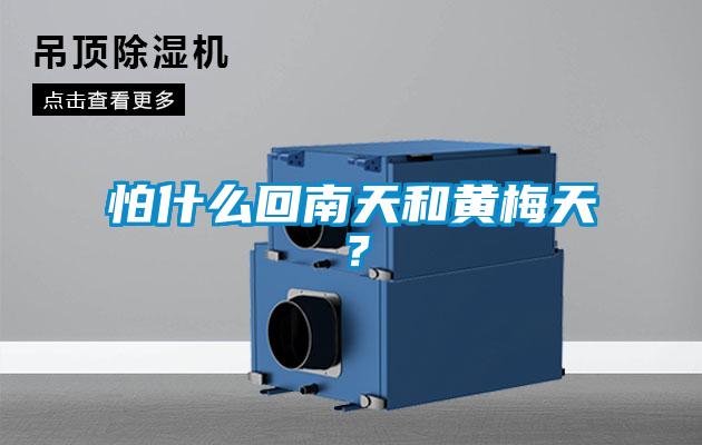 怕什么回南天和黃梅天？